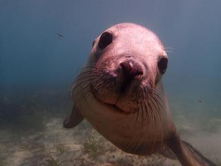 いっぱい遊んできましたよ☆