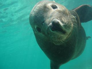 あっと言う間に～