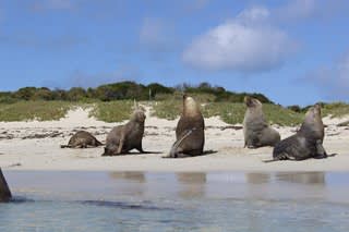 今年はあたり年~☆
