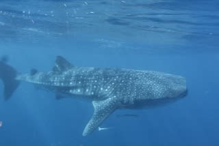 今年もあいつが帰ってきた~☆