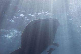 エクスマウス☆ツアー報告４