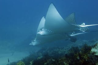 エクスマウス☆ツアー報告６