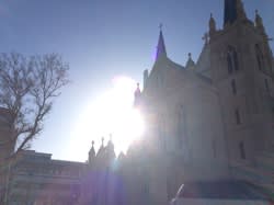 もう夏・・・！？