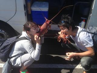 やっと夏・・・(>_<)