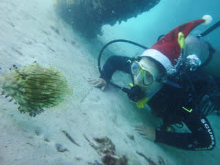 2015年スタート！！！