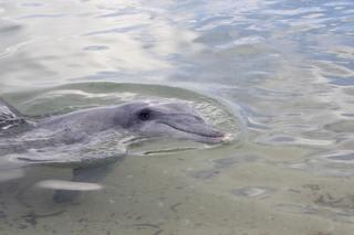 「エクスマウス・ダイビング・ツアー」〜その２〜