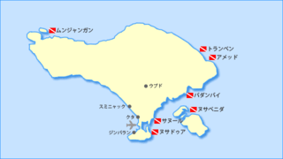 「バリ島・ダイビング」ツアー報告　〜その2〜