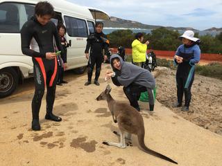 新年明けましておめでとうございます！