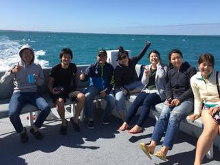 11月のブログ-まとめ-