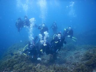 ロットネスダイビング♪