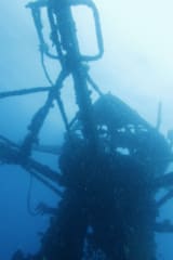 ダンズボロー&バッセルトンダイビング