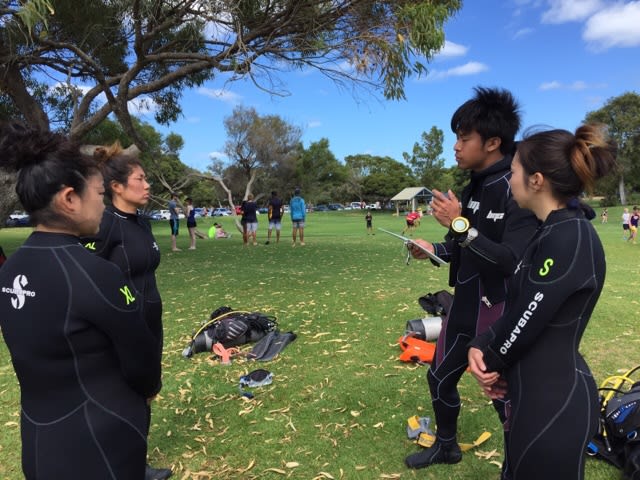 IE合格おめでとう！