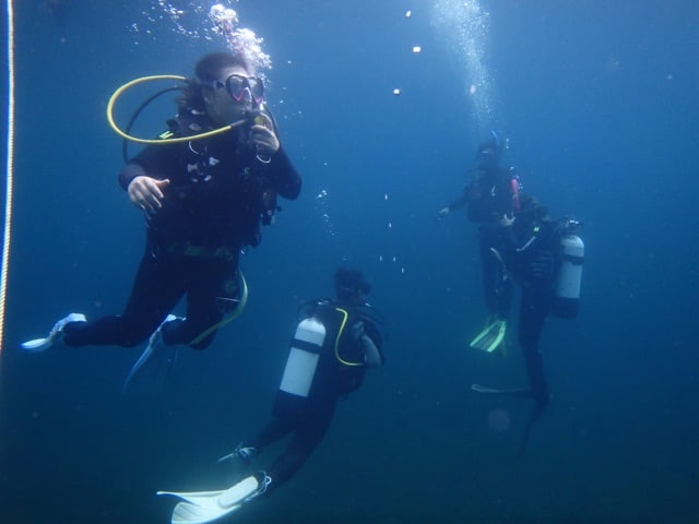 バレンタイン♡バッセルトン　