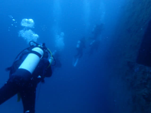 ご家族でWAダイビング～スワン・レック編～