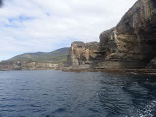 タスマン半島 調査 その①