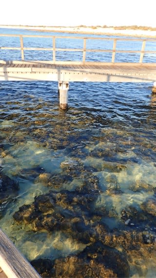 今シーズン初☆エクスマウス～往路編～