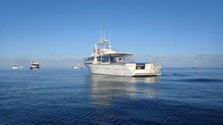 今シーズン初☆エクスマウス～ジンベイスイム～