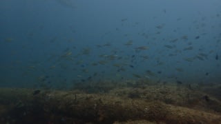 今シーズン初☆エクスマウス～ネイビー・ピア　ワイド編～