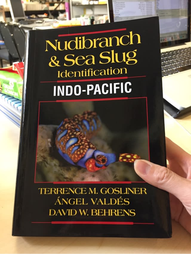 ミズタマからの～トラパニア！！