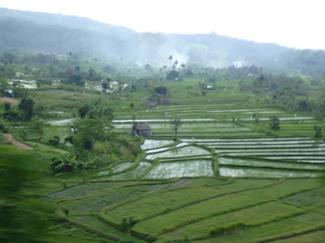 南国へ行ってきました！