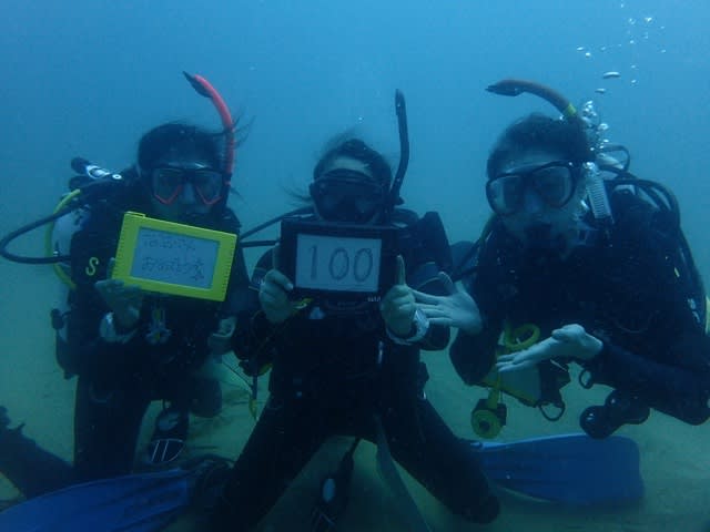 11月のRottnestダイビング