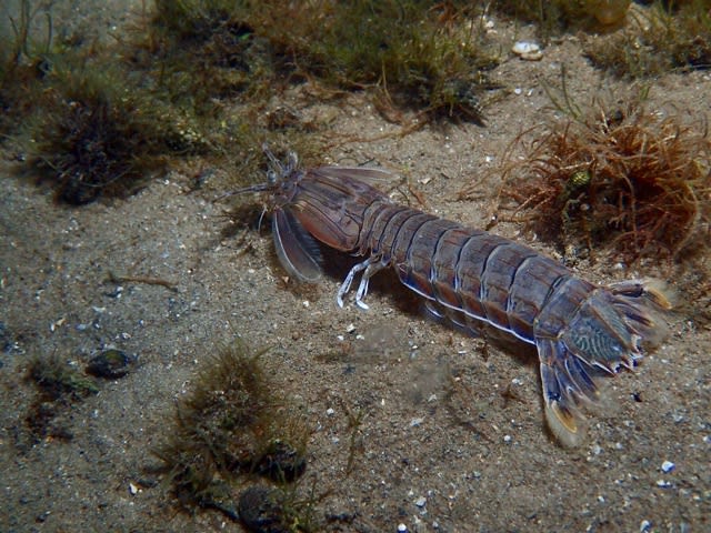 12月のナイトに潜らないと☆