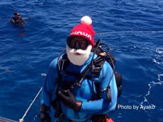 12月後半のロットネスト島ダイビング