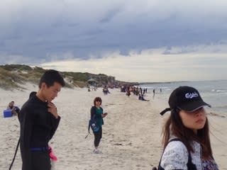 高級物件！？アワビマンション～アワビ漁、解禁！！～