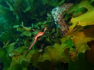 1月のエスペランス・ツアー！！第2弾