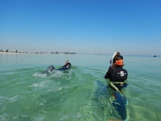 OWライセンスゲットだぜ⭐️