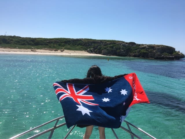 美女に興奮するアシカくんたち！