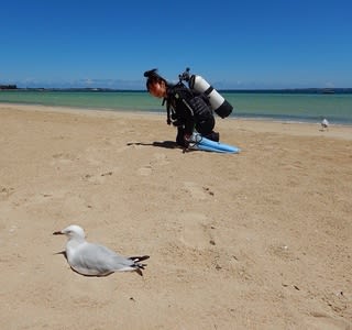 11月のNewダイバー⭐️Miyuki