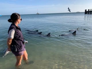 ジンベイザメを見に行くぞ〜！＜2日目＞
