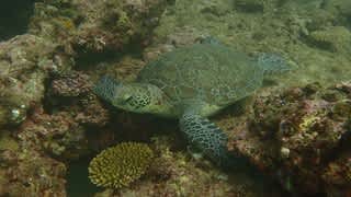 ジンベイザメを見に行くぞ〜！＜5日目＞