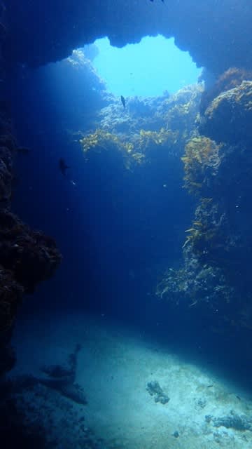 2022年初ダイブ！！！